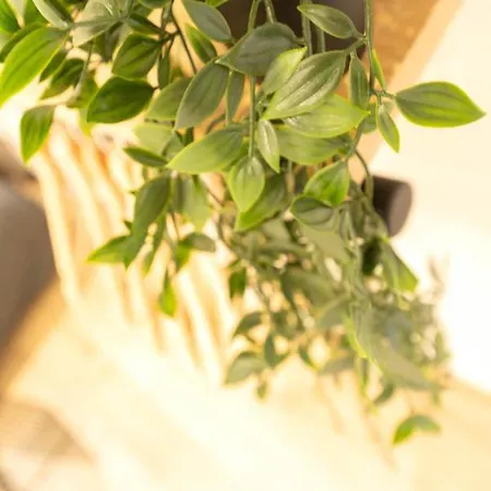 Ag 3 Sun And Serenity Intimate Apartament